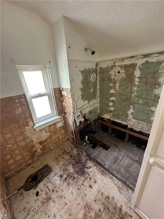 2905 Blackridge Ave, Penn Hills, PA 15235 - bathroom with a textured ceiling and vaulted ceiling