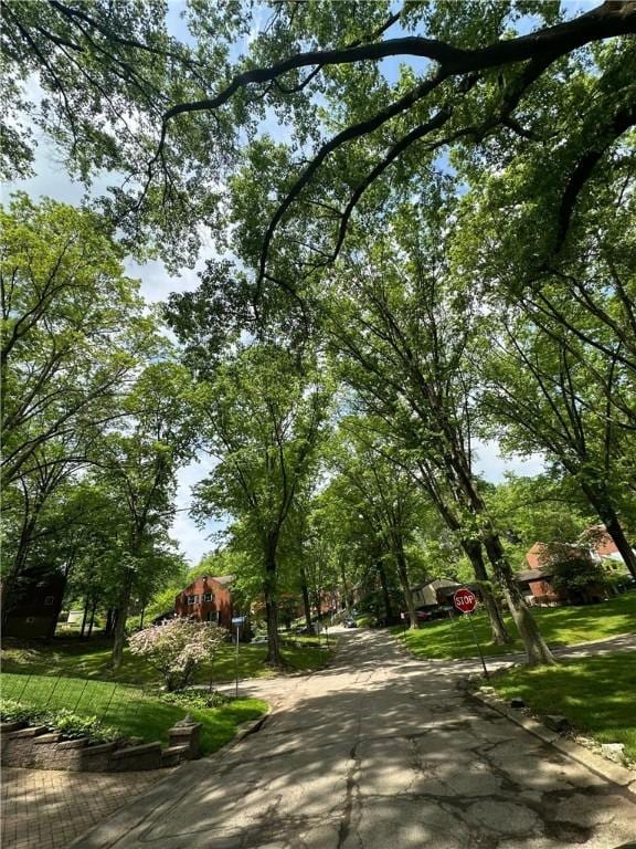 2905 Blackridge Ave, Penn Hills, PA 15235 - view of home's community