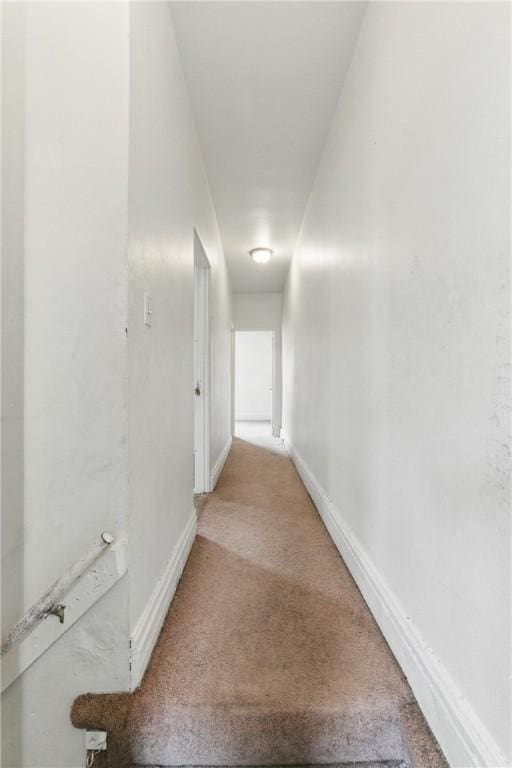 3318 Juliet St, Oakland, PA 15213 - corridor featuring carpet flooring and baseboards