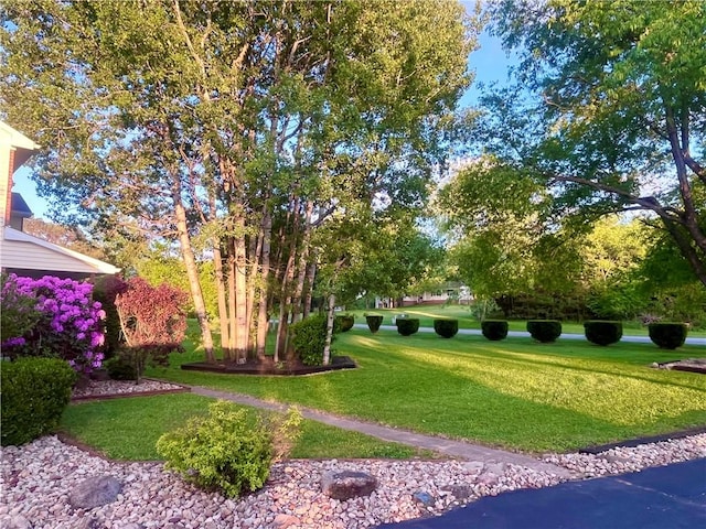101 Pheasant Run Dr, Worth Twp But, PA 16057 - view of property's community with a yard