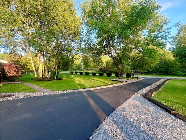 101 Pheasant Run Dr, Worth Twp But, PA 16057 - view of home's community with a lawn and view of wooded area