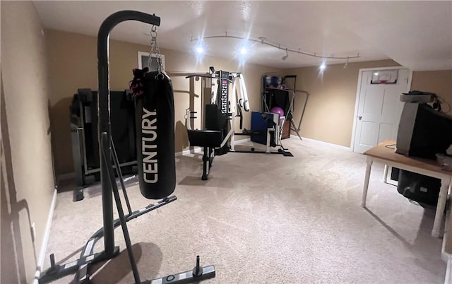 101 Pheasant Run Dr, Worth Twp But, PA 16057 - exercise room featuring baseboards, carpet, and rail lighting