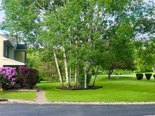 101 Pheasant Run Dr, Worth Twp But, PA 16057 - view of grassy yard
