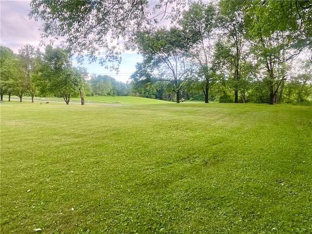 101 Pheasant Run Dr, Worth Twp But, PA 16057 - view of community featuring a yard and view of scattered trees