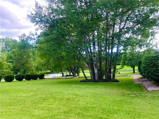101 Pheasant Run Dr, Worth Twp But, PA 16057 - view of property's community featuring a yard