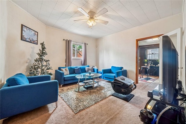 1725 Arlington Ave, South Side, PA 15210 - carpeted living room with ornamental molding and ceiling fan