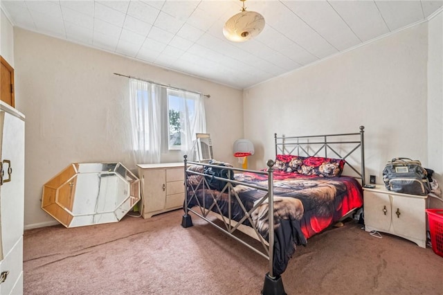 1725 Arlington Ave, South Side, PA 15210 - bedroom with carpet and crown molding
