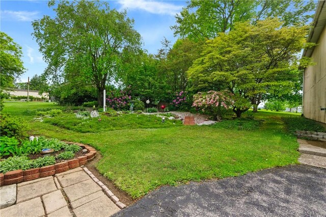 2703 Conway Wallrose Rd, Economy, PA 15005 - view of green lawn