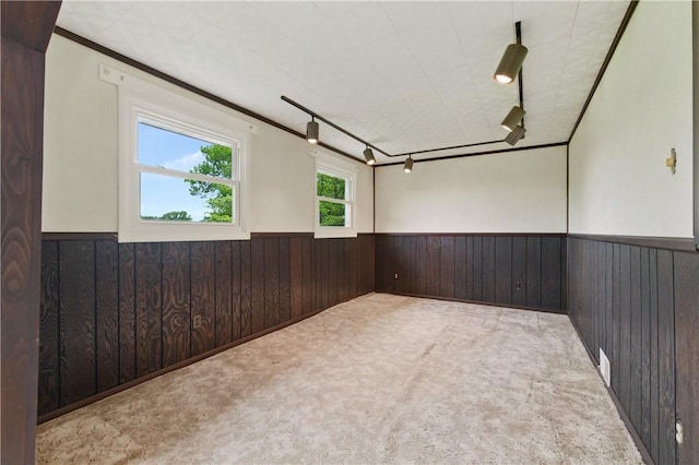 2703 Conway Wallrose Rd, Economy, PA 15005 - carpeted spare room featuring wainscoting, wooden walls, and rail lighting