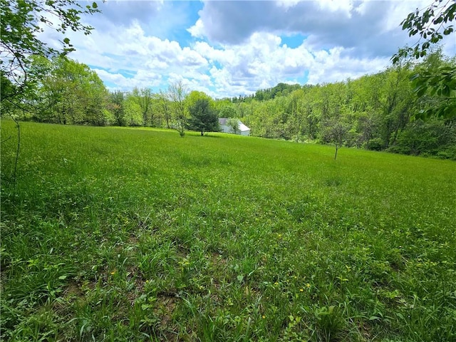 235 Mcclay Rd, Canton Twp, PA 15301 - view of yard with a wooded view