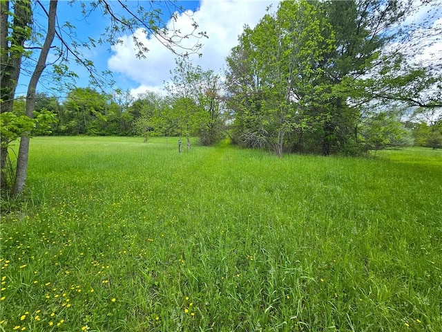 235 Mcclay Rd, Canton Twp, PA 15301 - view of yard