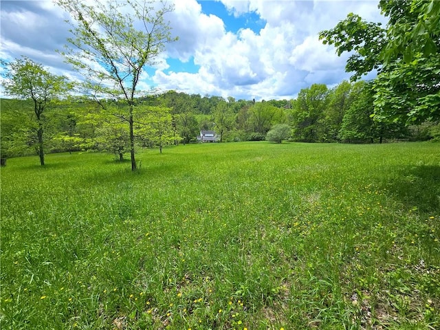 235 Mcclay Rd, Canton Twp, PA 15301 - view of yard featuring a forest view
