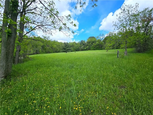 235 Mcclay Rd, Canton Twp, PA 15301 - view of yard featuring a forest view