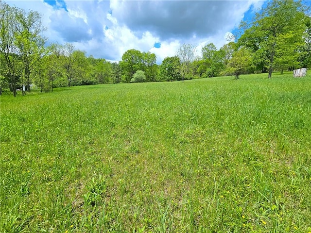 235 Mcclay Rd, Canton Twp, PA 15301 - view of yard featuring a forest view