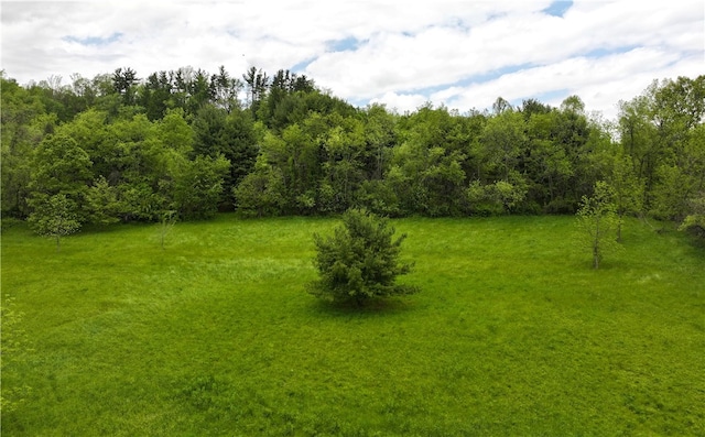 235 Mcclay Rd, Canton Twp, PA 15301 - view of green lawn