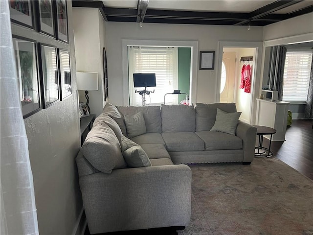 living room featuring healthy amount of natural light, wood finished floors, and beam ceiling