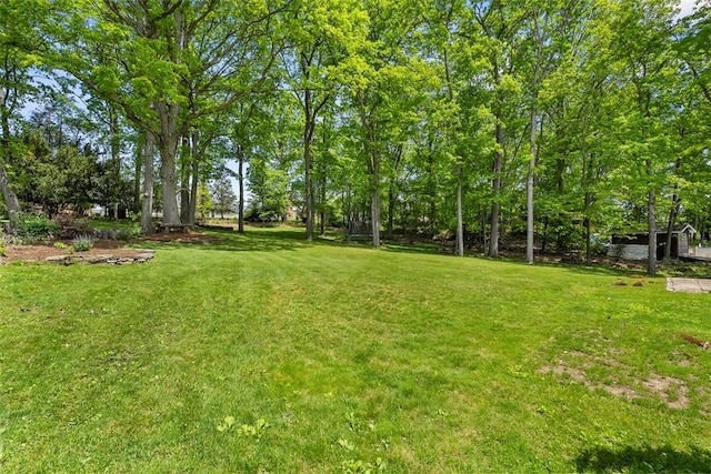 109 Meadowvue Dr, Marshall, PA 15090 - view of green lawn