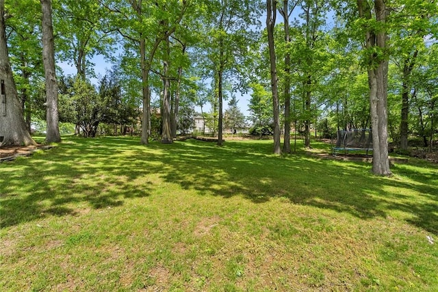 109 Meadowvue Dr, Marshall, PA 15090 - view of grassy yard featuring a trampoline