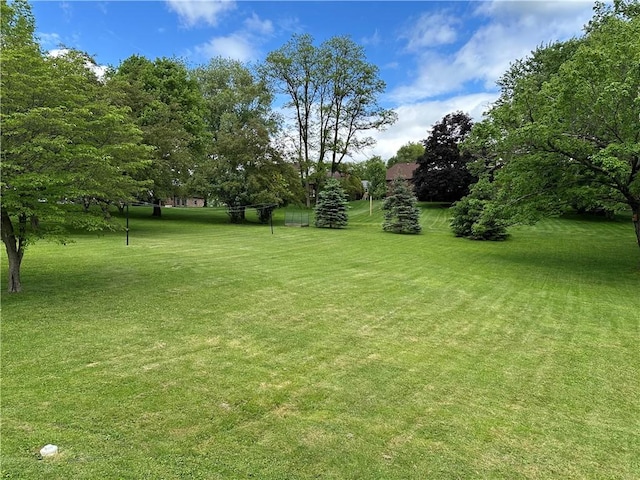 306 Cherokee Dr, Center Twp But, PA 16001 - view of grassy yard featuring view of scattered trees