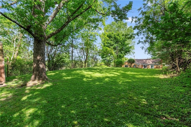 119 Hillcrest Dr, Ross Twp, PA 15237 - view of grassy yard