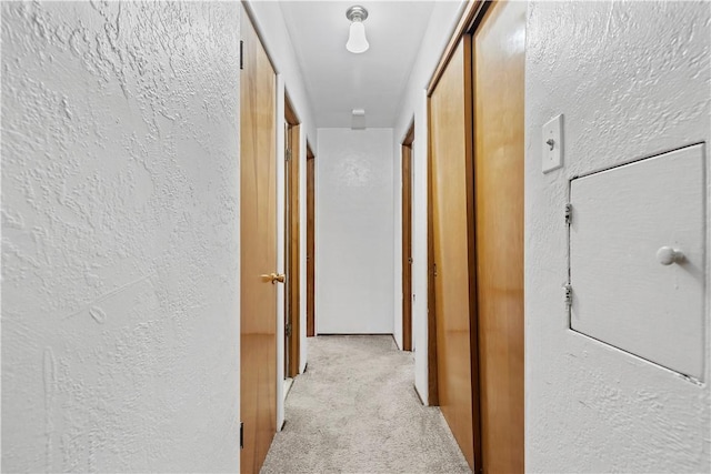 257 Noble Ave, Crafton, PA 15205 - hall with a textured wall and light colored carpet