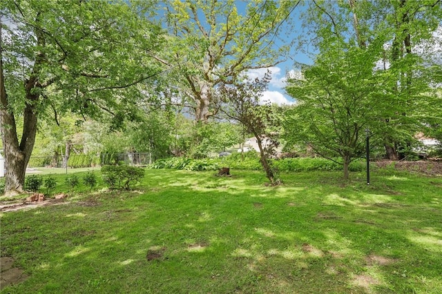 211 Homestead Dr, Middlesex Twp, PA 16059 - view of yard