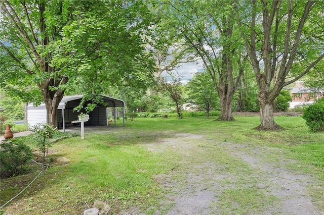211 Homestead Dr, Middlesex Twp, PA 16059 - view of grassy yard with a detached carport and driveway