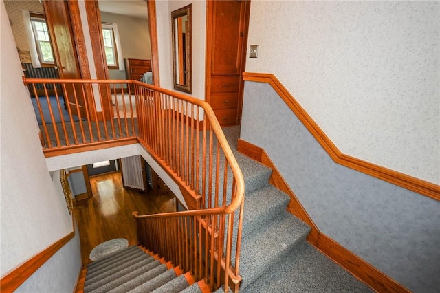 120 S Shenango St, Mercer Boro Mer, PA 16137 - stairs with carpet floors