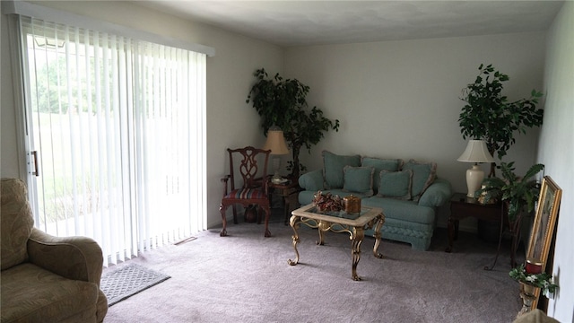 4895 Lucerne Rd, White Twp Ind, PA 15701 - view of carpeted living room