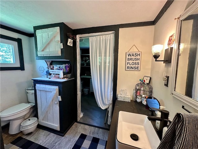 1641 Clintonville Rd, Irwin Twp, PA 16038 - full bath featuring toilet, vanity, wood finished floors, and a textured ceiling