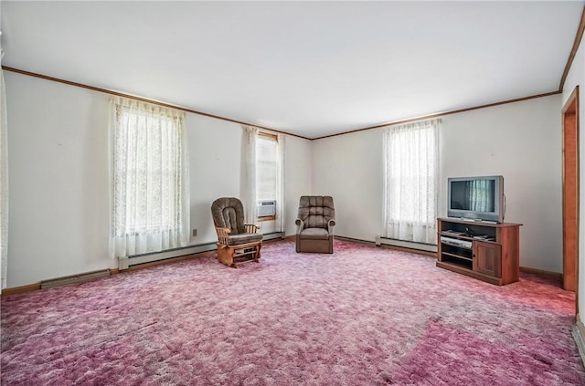 601 Depot St, Jamestown, PA 16134 - living area with ornamental molding, carpet, and a baseboard radiator