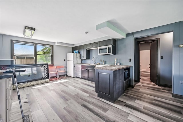 13035 State Highway 618, Conneaut Lake Cra, PA 16316 - kitchen with stainless steel appliances, light wood-style floors, a sink, and light countertops