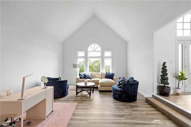 323 Snowberry Cir, Peters Twp, PA 15367 - sitting room with high vaulted ceiling, light wood-style flooring, and an office area