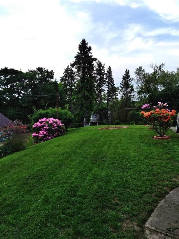 507 Bon Air Rd, Penn Hills, PA 15235 - view of green lawn