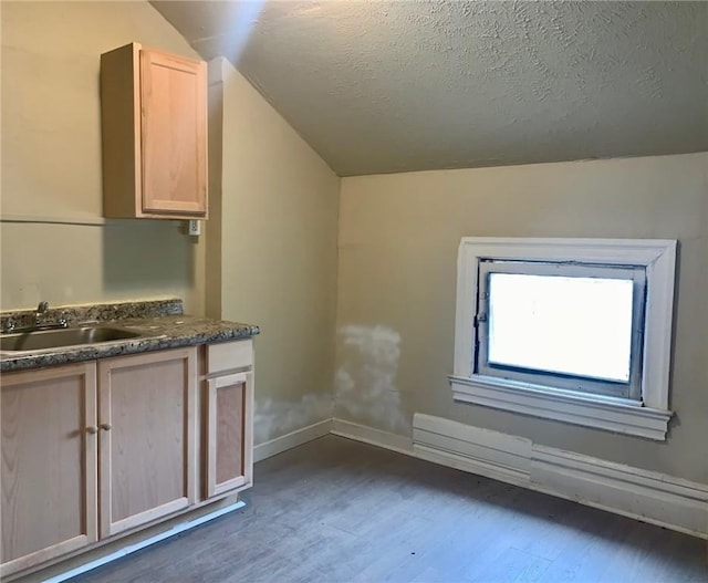 601 N Ave, Wilkinsburg, PA 15221 - kitchen featuring lofted ceiling, a sink, light brown cabinets, dark wood-type flooring, and dark countertops