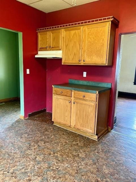 582 Spruce Ave, Sharon, PA 16146 - kitchen with under cabinet range hood, baseboards, and dark countertops