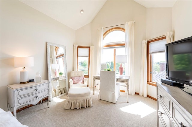 585 Agnes St, Hempfield Twp Wml, PA 15601 - office featuring high vaulted ceiling, light carpet, and baseboards