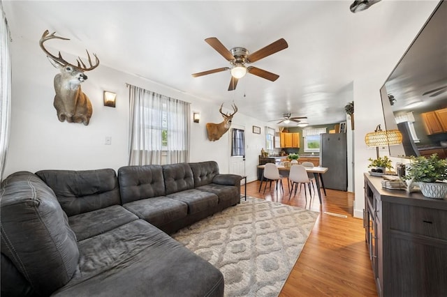 136 Isabella St, Derry Twp, PA 15717 - living room with plenty of natural light, ceiling fan, and light wood-style flooring