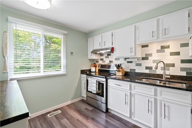 15 Fawnridge Dr, Robinson Twp Nwa, PA 15136 - kitchen with stainless steel electric range oven, a sink, healthy amount of natural light, and under cabinet range hood