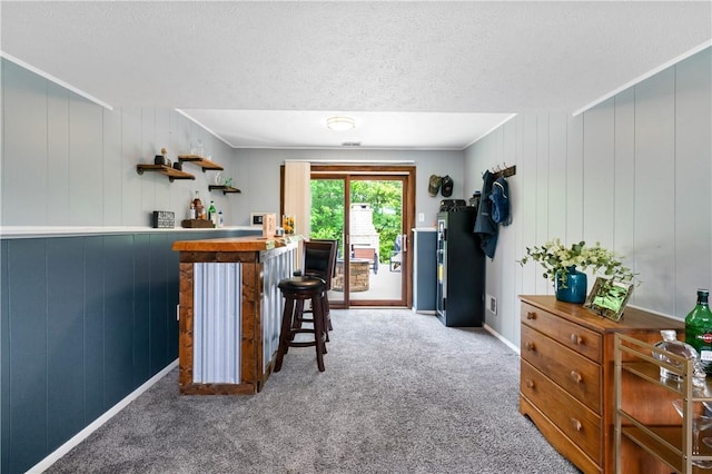 15 Fawnridge Dr, Robinson Twp Nwa, PA 15136 - indoor dry bar featuring carpet flooring, a textured ceiling, and baseboards