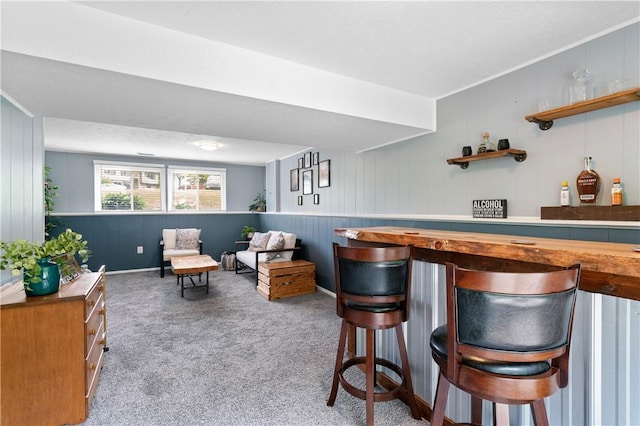 15 Fawnridge Dr, Robinson Twp Nwa, PA 15136 - indoor dry bar with carpet and wooden walls