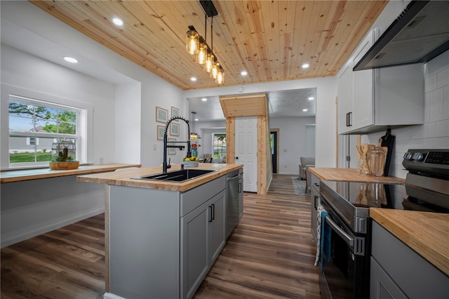 103 Depot St, Midway, PA 15060 - kitchen with wood counters, stainless steel appliances, a sink, under cabinet range hood, and gray cabinetry