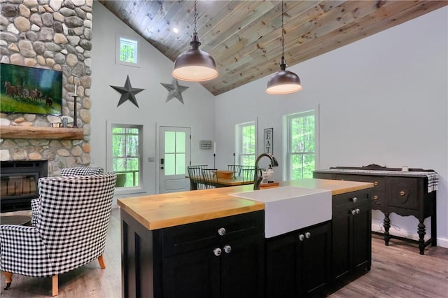 500 Shady Ln, Slippery Rock Twp Law, PA 16117 - kitchen featuring dark cabinetry, wooden counters, a sink, high vaulted ceiling, and wood finished floors