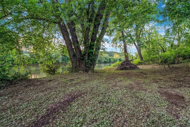 5 Rio Vista St, West Newton, PA 15089 - view of yard