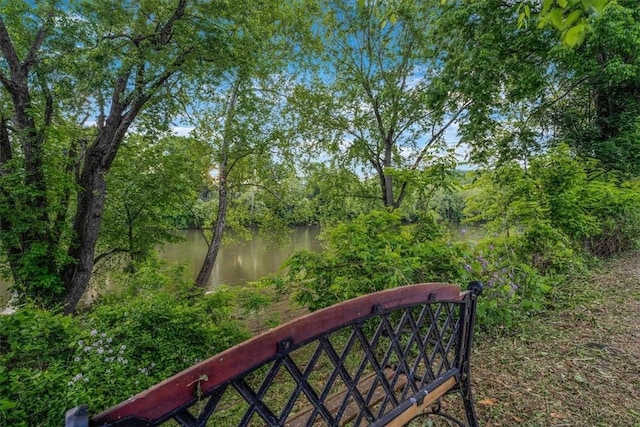 5 Rio Vista St, West Newton, PA 15089 - view of yard with a water view