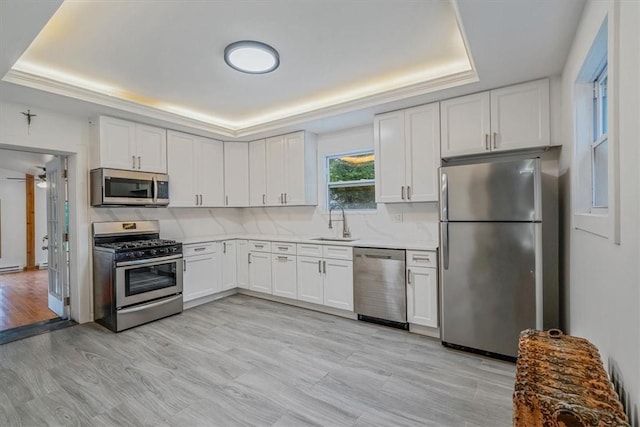 5 Rio Vista St, West Newton, PA 15089 - kitchen with appliances with stainless steel finishes, a tray ceiling, a sink, and backsplash