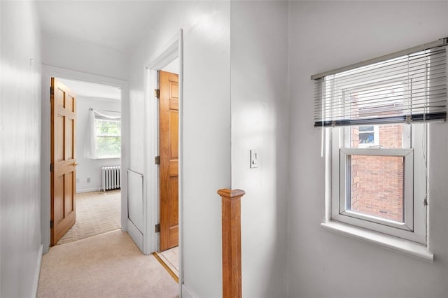 3983 Beechwood Blvd, Squirrel Hill, PA 15217 - hallway with radiator, light carpet, and baseboards
