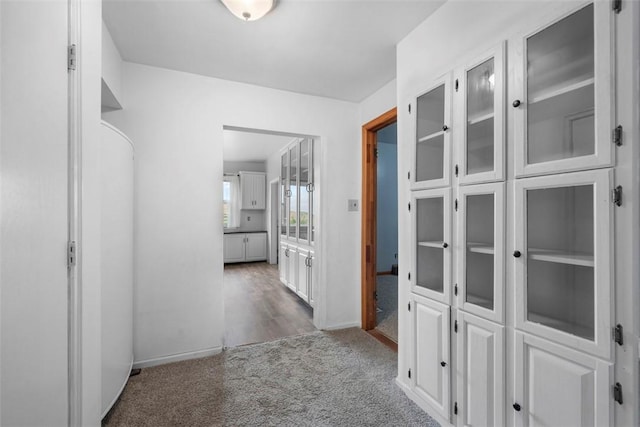 146 Peters Ln, Winfield Twp, PA 16023 - hall featuring carpet and baseboards