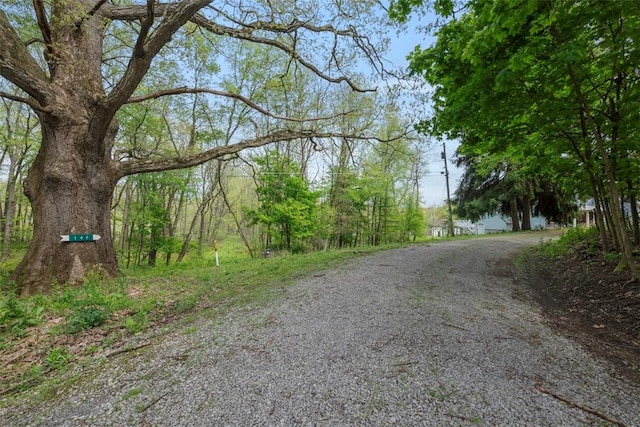 146 Peters Ln, Winfield Twp, PA 16023 - view of dirt / gravel road