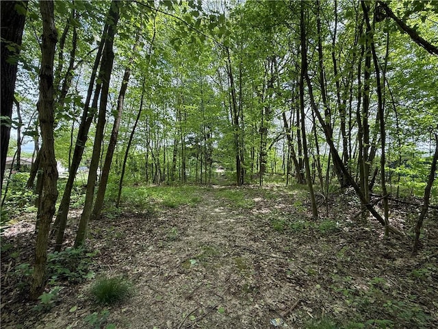 1265 Slippery Rock Rd, Liberty Twp, PA 16057 - view of tree filled area